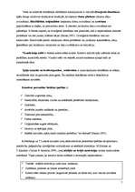 Konspekts 'Novitātes nozīme kreativitātes teorijā', 7.