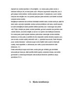 Referāts 'Valoda presē', 8.