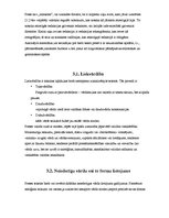 Referāts 'Valoda presē', 9.