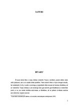 Prakses atskaite 'Traipu tīrīšana viesnīcās', 2.