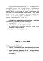 Prakses atskaite 'Traipu tīrīšana viesnīcās', 3.