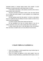 Prakses atskaite 'Traipu tīrīšana viesnīcās', 5.