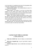 Prakses atskaite 'Traipu tīrīšana viesnīcās', 8.