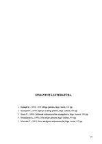 Prakses atskaite 'Traipu tīrīšana viesnīcās', 27.