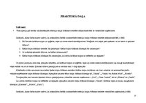 Prakses atskaite 'Traipu tīrīšana viesnīcās', 29.