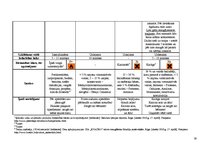 Prakses atskaite 'Traipu tīrīšana viesnīcās', 32.