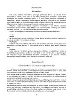 Konspekts 'Leksikas stili', 1.