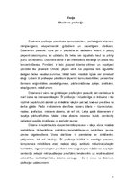 Eseja 'Dizainera profesija', 1.