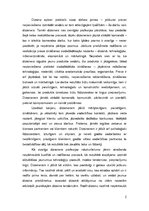 Eseja 'Dizainera profesija', 2.