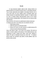 Referāts 'SIA "Puratos Latvia" piedāvāto preču sortimenta raksturojums', 3.