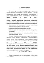 Referāts 'SIA "Puratos Latvia" piedāvāto preču sortimenta raksturojums', 9.