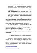 Referāts 'SIA "Puratos Latvia" piedāvāto preču sortimenta raksturojums', 31.