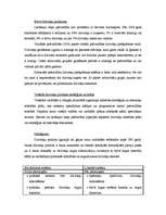 Referāts 'Dzīvokļu politika Igaunijā', 7.