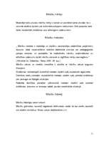 Referāts 'Metodika Latvijas kultūras vēsturē', 11.