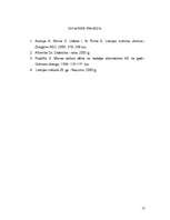 Referāts 'Metodika Latvijas kultūras vēsturē', 17.