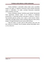 Referāts 'Profesijas izvēles ietekme uz cilvēka ienākumiem', 5.