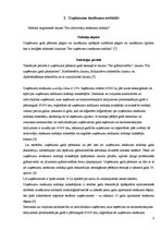 Referāts 'Nodokļu maksājumi lauksaimniecības produkcijas ražotājiem', 8.