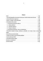 Prakses atskaite 'Profesionālās prakses pārskats Kārsavas pašvaldībā', 2.