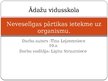 Referāts 'Neveselīgas pārtikas ietekme uz organismu', 21.