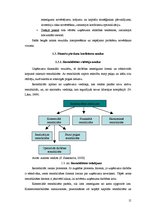 Diplomdarbs 'Finanšu analīze SIA "Jēkabpils PMK"', 15.