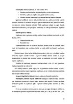 Diplomdarbs 'Finanšu analīze SIA "Jēkabpils PMK"', 20.