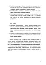 Diplomdarbs 'Finanšu analīze SIA "Jēkabpils PMK"', 65.