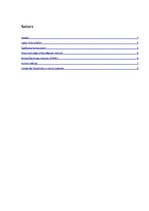 Paraugs 'Laika rindu analīze', 2.