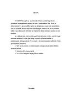 Referāts 'Priekšvēlēšanu aģitācijas un politiskās reklāmas juridiskā regulējuma problēmas ', 2.