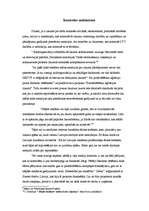 Referāts 'Priekšvēlēšanu aģitācijas un politiskās reklāmas juridiskā regulējuma problēmas ', 7.