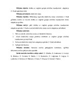 Diplomdarbs 'Didaktisko rotaļu nozīme adaptācijas periodā (pirmajā klasē) bērniem ar viegliem', 9.