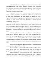 Diplomdarbs 'Didaktisko rotaļu nozīme adaptācijas periodā (pirmajā klasē) bērniem ar viegliem', 14.