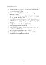 Eseja 'Reklāmas ētika', 6.