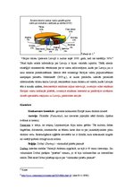 Referāts 'Latvijas tēla stratēģija. Lauku tūrisms Latvijā', 3.