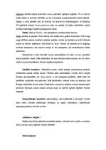 Referāts 'Latvijas tēla stratēģija. Lauku tūrisms Latvijā', 5.