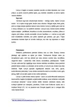 Referāts 'Latvijas tēla stratēģija. Lauku tūrisms Latvijā', 6.