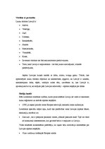 Referāts 'Latvijas tēla stratēģija. Lauku tūrisms Latvijā', 7.