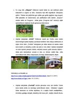 Referāts 'Latvijas tēla stratēģija. Lauku tūrisms Latvijā', 9.