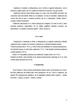 Konspekts 'Viesmīlības uzņēmuma "Saulainā lagūna" attīstības plāns', 6.