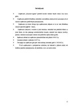 Konspekts 'Viesmīlības uzņēmuma "Saulainā lagūna" attīstības plāns', 15.