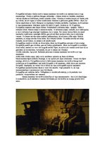 Eseja 'Fotogrāfijas analīze', 1.