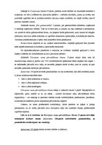 Paraugs 'Konstitucionālā sūdzība', 4.