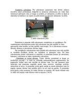 Diplomdarbs 'Paukošana – modernās pieccīņas kompleksā', 16.