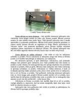 Diplomdarbs 'Paukošana – modernās pieccīņas kompleksā', 17.