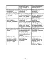 Diplomdarbs 'Paukošana – modernās pieccīņas kompleksā', 59.