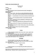 Konspekts 'Latviešu valodas funkcionālo stilu pierādīšana', 4.