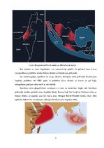 Referāts 'Sauszemes un jūras laupītāju ietekme uz kravu pārvadājuma loģistiku', 5.