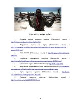 Referāts 'Sauszemes un jūras laupītāju ietekme uz kravu pārvadājuma loģistiku', 16.