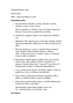 Konspekts 'Muzikālā nodarbība "Rudens nāk, birst lapiņas dzeltēdamas"', 2.