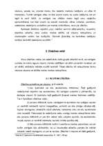 Referāts 'Zādzība un tās veidi', 5.