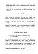 Referāts 'Zādzība un tās veidi', 6.